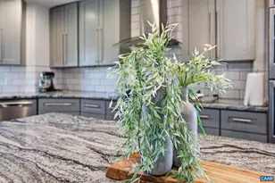 101 Marjorie Ln, Ruckersville, VA 22968 - Photo 16