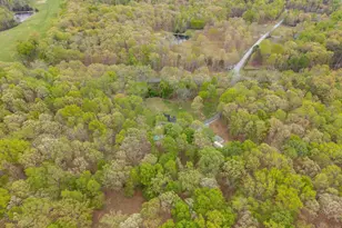 18383 James Madison Hwy, Troy, VA 22974 - Photo 48