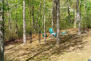 4 Nutwood Cir, Palmyra, VA 22963 - Photo 48