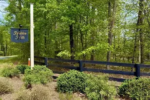 1025 E Pelham Dr, Keswick, VA 22947 - Photo 54