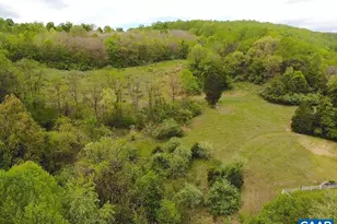 325 Union Run, Lexington, VA 24450 - Photo 54