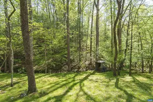 751 Jonquil Rd, Ruckersville, VA 22968 - Photo 8