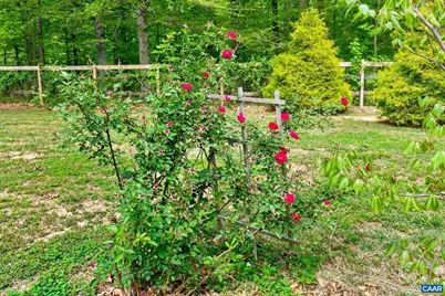 122 Mistie Ridge Ln, Palmyra, VA 22963 - Photo 40
