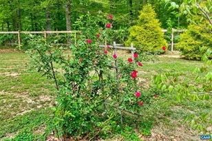 122 Mistie Ridge Ln, Palmyra, VA 22963 - Photo 40