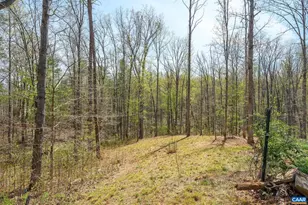 266 Swift Run Rd, Ruckersville, VA 22968 - Photo 22