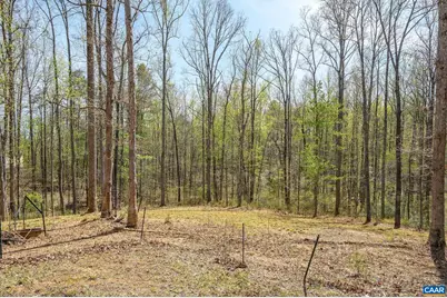 266 Swift Run Rd, Ruckersville, VA 22968 - Photo 18