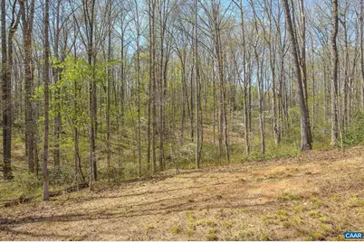 266 Swift Run Rd, Ruckersville, VA 22968 - Photo 16