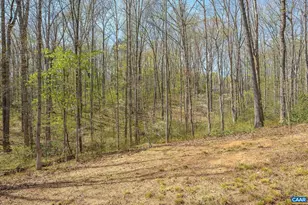 266 Swift Run Rd, Ruckersville, VA 22968 - Photo 16