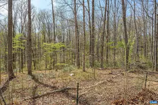 266 Swift Run Rd, Ruckersville, VA 22968 - Photo 16
