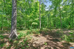 496 Bowlers Mill Run, Gordonsville, VA 22942 - Photo 46