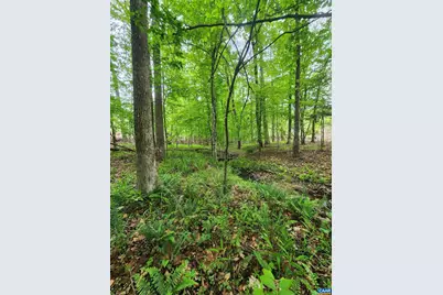 295 Hickory Hollow Ln, Fork Union, VA 23022 - Photo 36
