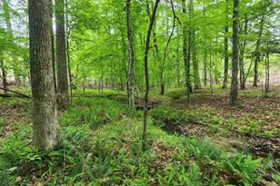 295 Hickory Hollow Ln, Fork Union, VA 23022 - Photo 36
