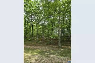 2335 Davis Hwy, Mineral, VA 23117 - Photo 38