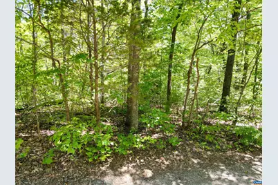 0 Pine Hill Dr, Stanardsville, VA 22973 - Photo 6