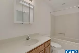 259 Spring Oaks Ln, Ruckersville, VA 22968 - Photo 22