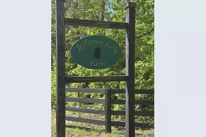 317 Lake View Ln, Palmyra, VA 22963 - Photo 2