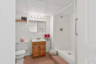 54 Amethyst Rd, Palmyra, VA 22963 - Photo 52