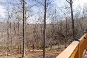 49 Kiowa Ln, Palmyra, VA 22963 - Photo 70