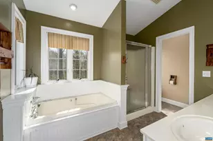 49 Kiowa Ln, Palmyra, VA 22963 - Photo 38
