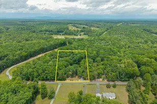 2321 Ruritan Lake Rd, Scottsville, VA 24590 - Photo 40