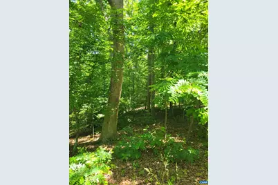 8 Mechunk Ter, Palmyra, VA 22963 - Photo 1