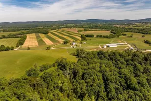 481 Race Ground Rd, Rochelle, VA 22738 - Photo 46