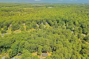 135 Iroquois Trail, Ruckersville, VA 22968 - Photo 38