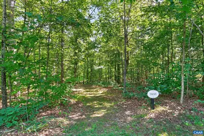 251 Pelham Dr, Keswick, VA 22947 - Photo 44