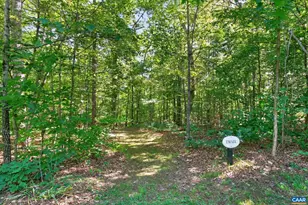 251 Pelham Dr, Keswick, VA 22947 - Photo 44