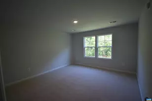 335 Horse Path Dr, Charlottesville, VA 22902 - Photo 16