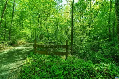 Lot A Brokenback Mountain Rd #45 A 19A, Dyke, VA 22935 - Photo 14