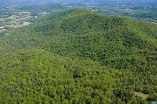 Lot A Brokenback Mountain Rd, Dyke, VA 22935 - Photo 1