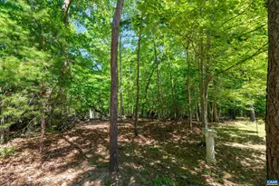 16 Cliftwood Rd, Palmyra, VA 22963 - Photo 44