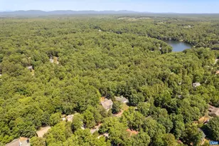 16 Cliftwood Rd, Palmyra, VA 22963 - Photo 62