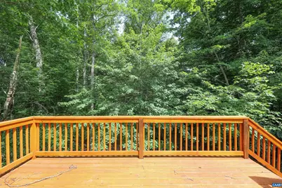 26 West Lake Forest Dr, Palmyra, VA 22963 - Photo 50