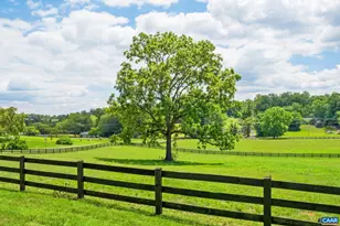 295 Fairground Rd, Madison, VA 22727 - Photo 6