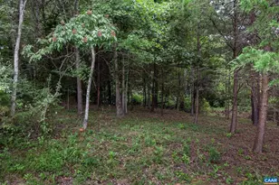 242 Palmer Pl, Ruckersville, VA 22968 - Photo 58