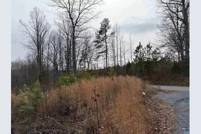 Tbd Community House Rd, Kents Store, VA 23084 - Photo 2