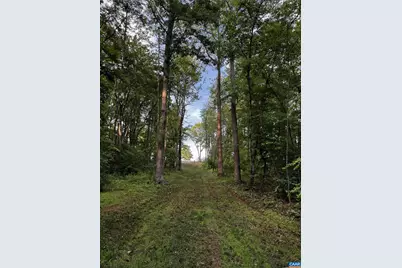 0 Fredericksburg Rd, Ruckersville, VA 22968 - Photo 8