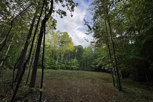 0 Fredericksburg Rd, Ruckersville, VA 22968 - Photo 1