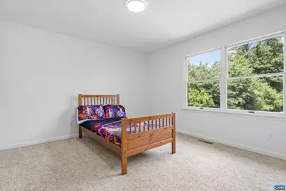 5393 Amicus Rd, Ruckersville, VA 22968 - Photo 42