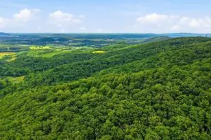 974 Bull Yearling Rd, Stanardsville, VA 22973 - Photo 60