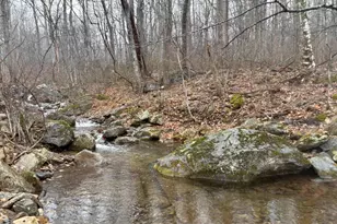 4893 Weakley Hollow Rd, Syria, VA 22743 - Photo 20