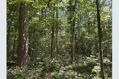 0 Bambi Ct #7828008836, Beaverdam, VA 23015 - Photo 4