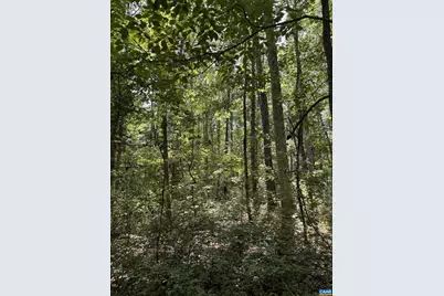 0 Bambi Ct #7828008836, Beaverdam, VA 23015 - Photo 8