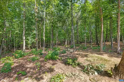 306 Rosewood Dr, Scottsville, VA 24590 - Photo 50