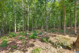 306 Rosewood Dr, Scottsville, VA 24590 - Photo 50