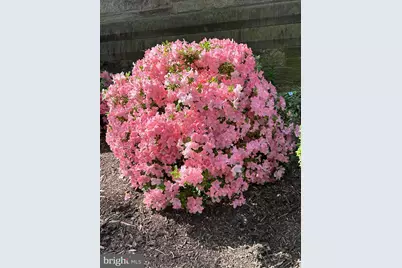 950 25th NW #814N, Washington, DC 20037 - Photo 40