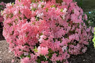 950 25th NW, Washington, DC 20037 - Photo 40