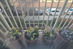 510 N St SW, Washington, DC 20024 - Photo 42